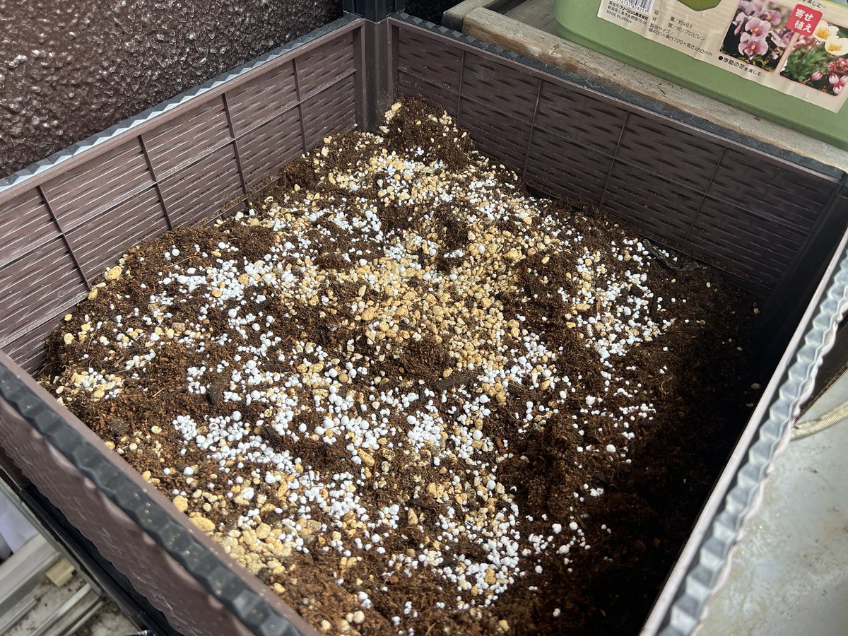 うりぼー 🦏 半導体はサッパリわからない遊び人⛰️ウリリンクスの中の人🍅植物工場運営中🥔 tweet media