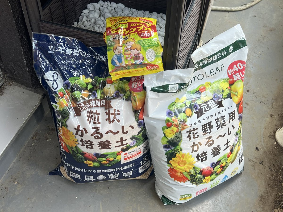 うりぼー 🦏 半導体はサッパリわからない遊び人⛰️ウリリンクスの中の人🍅植物工場運営中🥔 tweet media