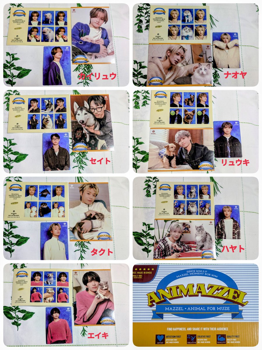 👑yuyu🦅🪶MUZE🧼 tweet media