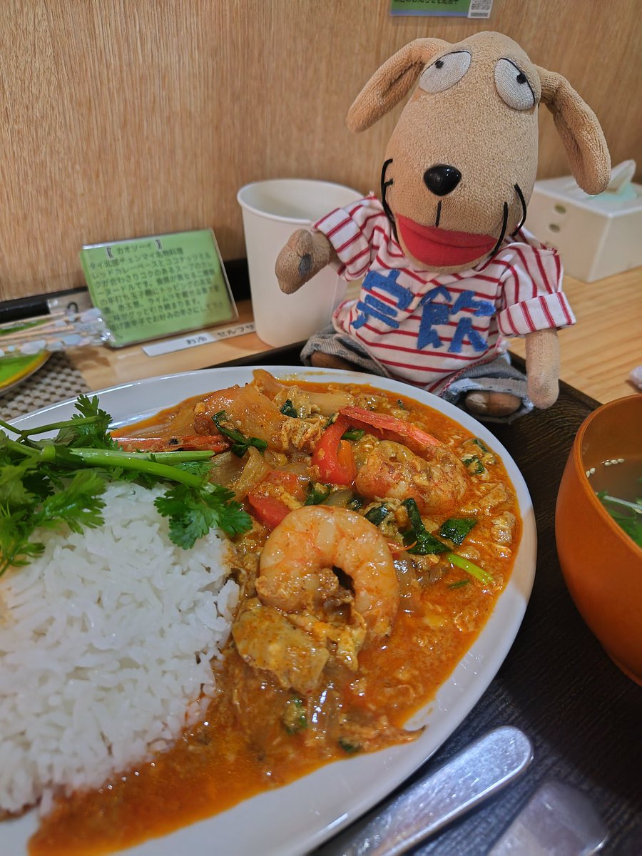 シー坊 tweet media