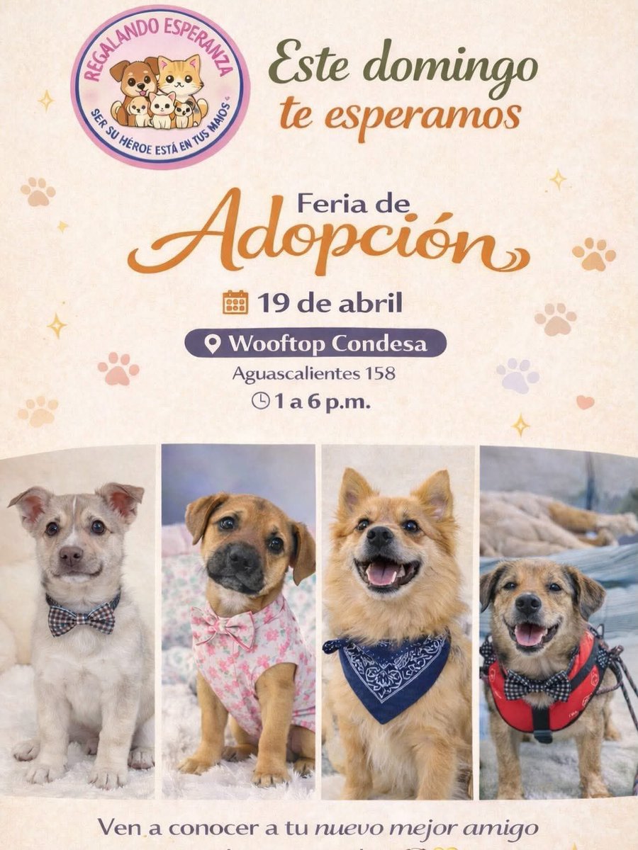 Rescate Animal tweet media