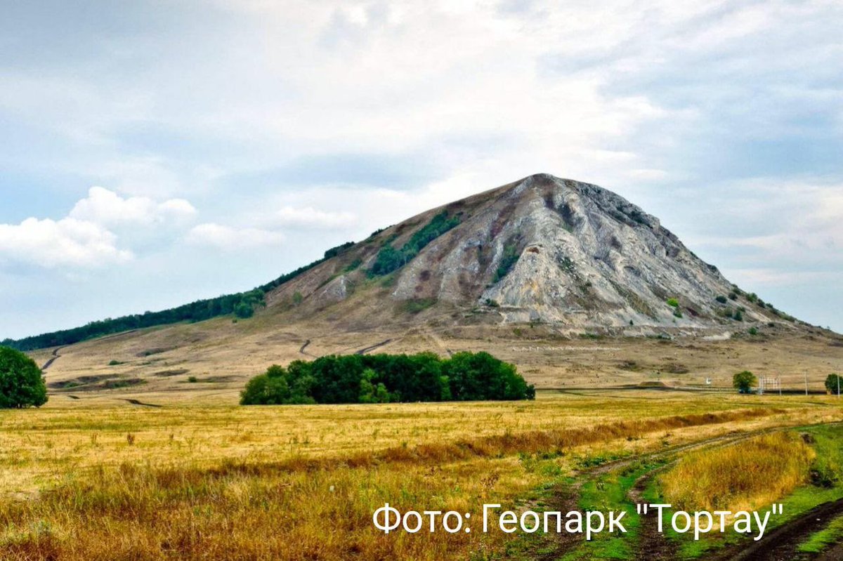 駐日ロシア連邦大使館 tweet media