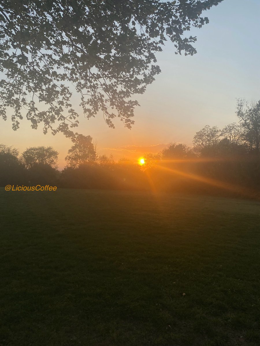 LiciousCoffee's tweet image. The 🌎 is full of amazing contents, see it, recognize it, create IT—find Art in Nature.

🧡Tonight #DC #DMV 
Captured some Beautiful GOLDEN HOUR pics🌅⚡️
#Nature #NaturePhotography #Photography #PhotographyIsArt #Tree #Park #NatureWhispers #Sunset #SunsetPhotography #NatureWalks