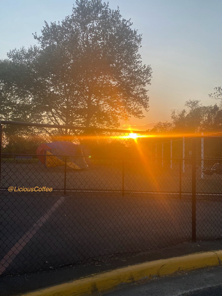 LiciousCoffee's tweet image. The 🌎 is full of amazing contents, see it, recognize it, create IT—find Art in Nature.

🧡Tonight #DC #DMV 
Captured some Beautiful GOLDEN HOUR pics🌅⚡️
#Nature #NaturePhotography #Photography #PhotographyIsArt #Tree #Park #NatureWhispers #Sunset #SunsetPhotography #NatureWalks