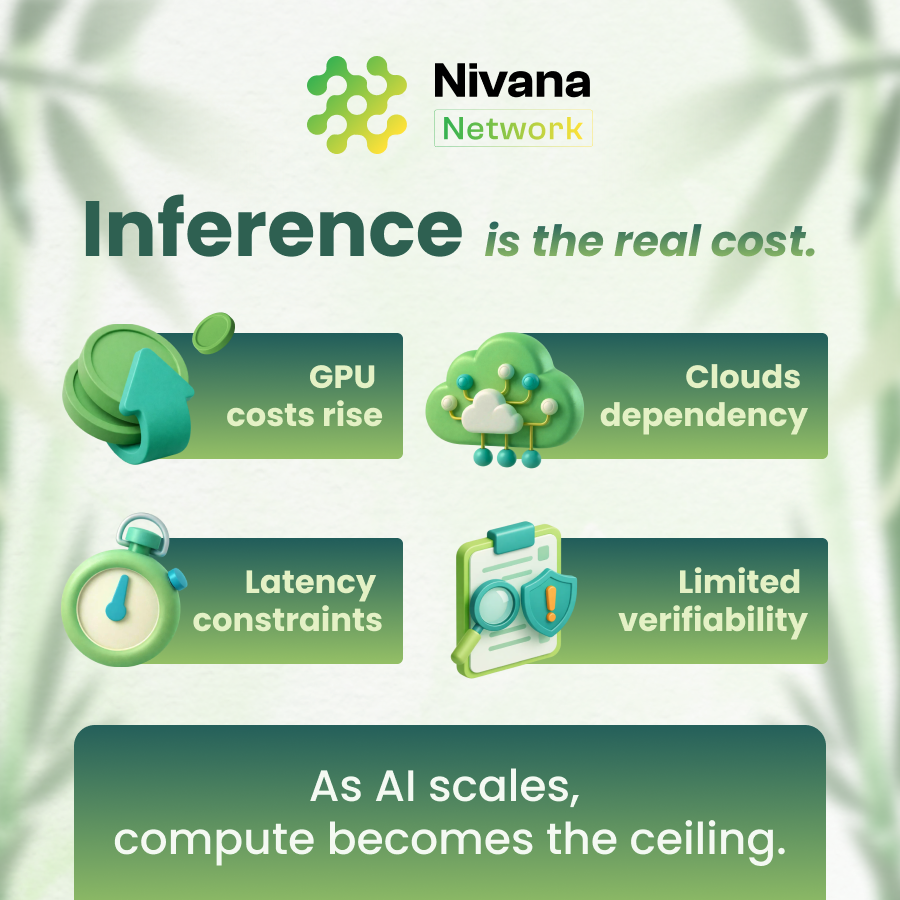 Nivana Network tweet media