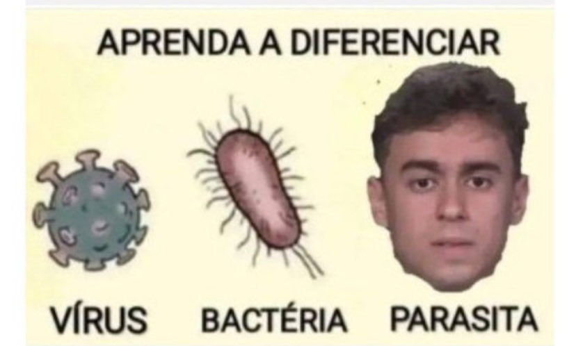 Jaqueline Alves tweet media