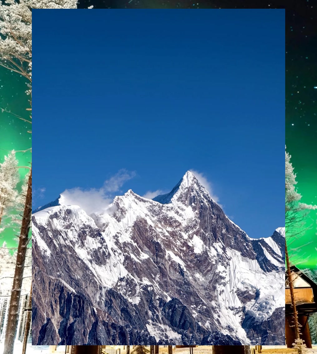 Justin Haulin tweet media