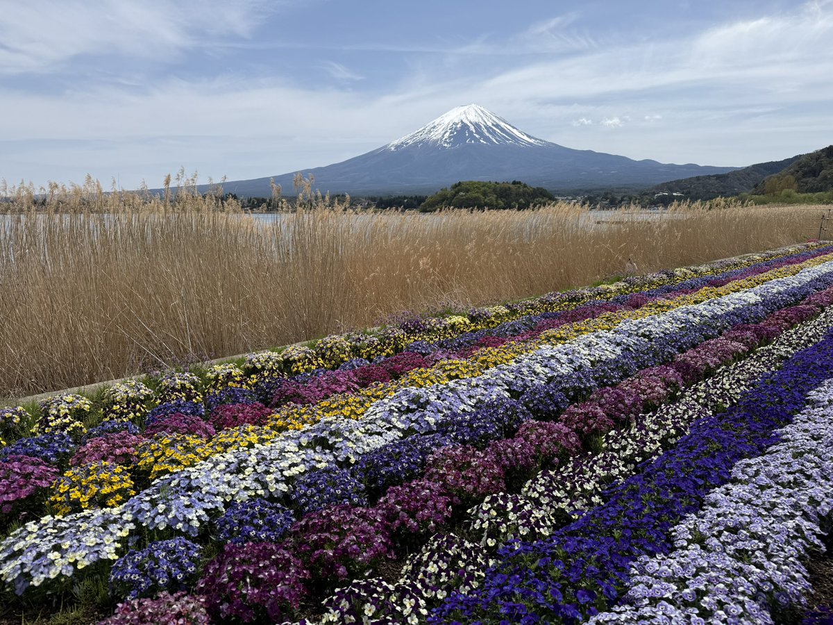 ꧁ℝ𝕖𝕥𝕣𝟘꧂(れとろ) tweet media