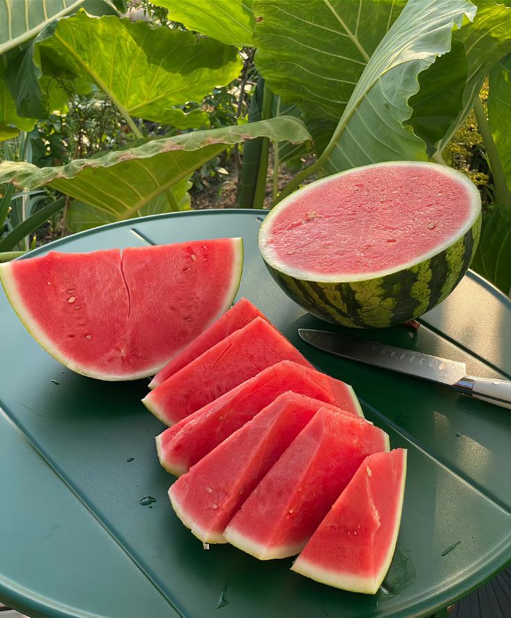 Xenia 🍒🍒🍒 tweet media