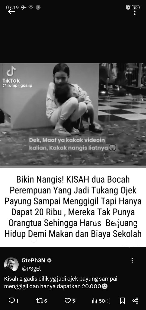 Fai Nomady tweet media