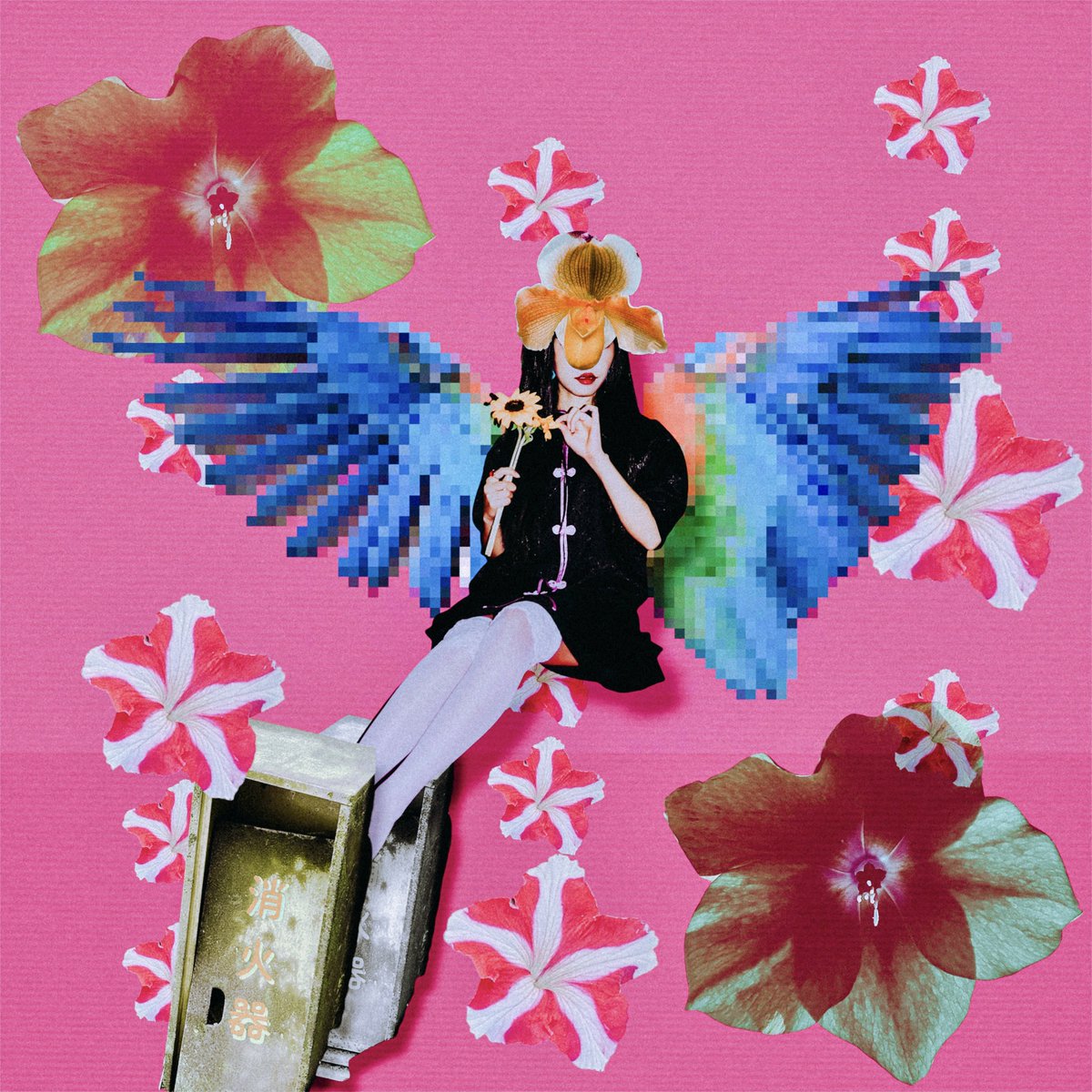 iris_de_sakura's tweet image. cult

#collage