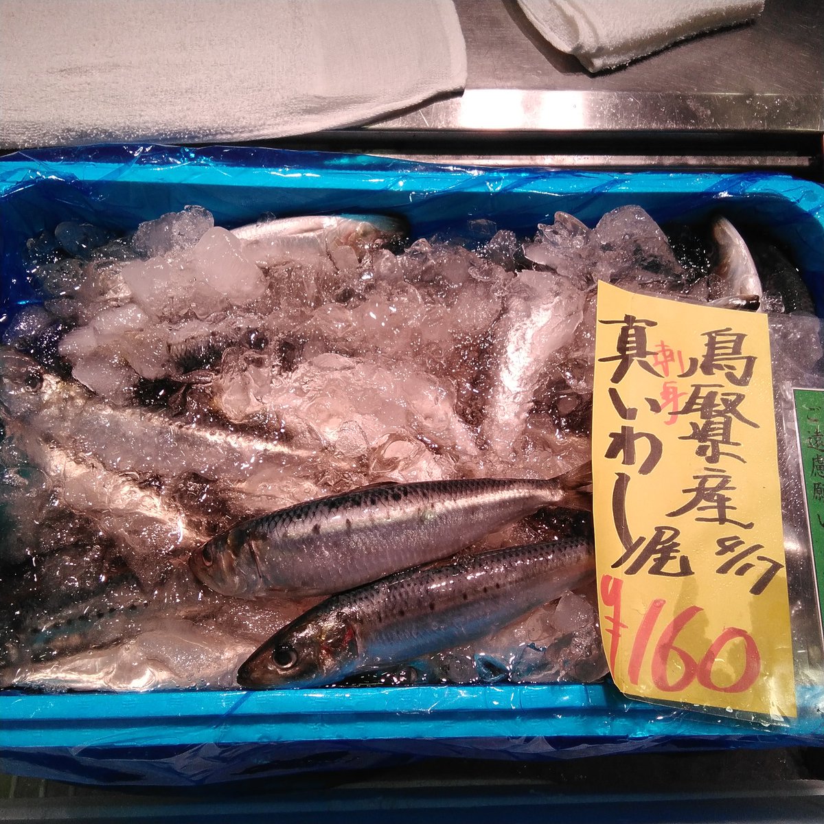 おはようございます(*^^*) 本日のおすすめは真あじ4尾580円‼️ 脂がの