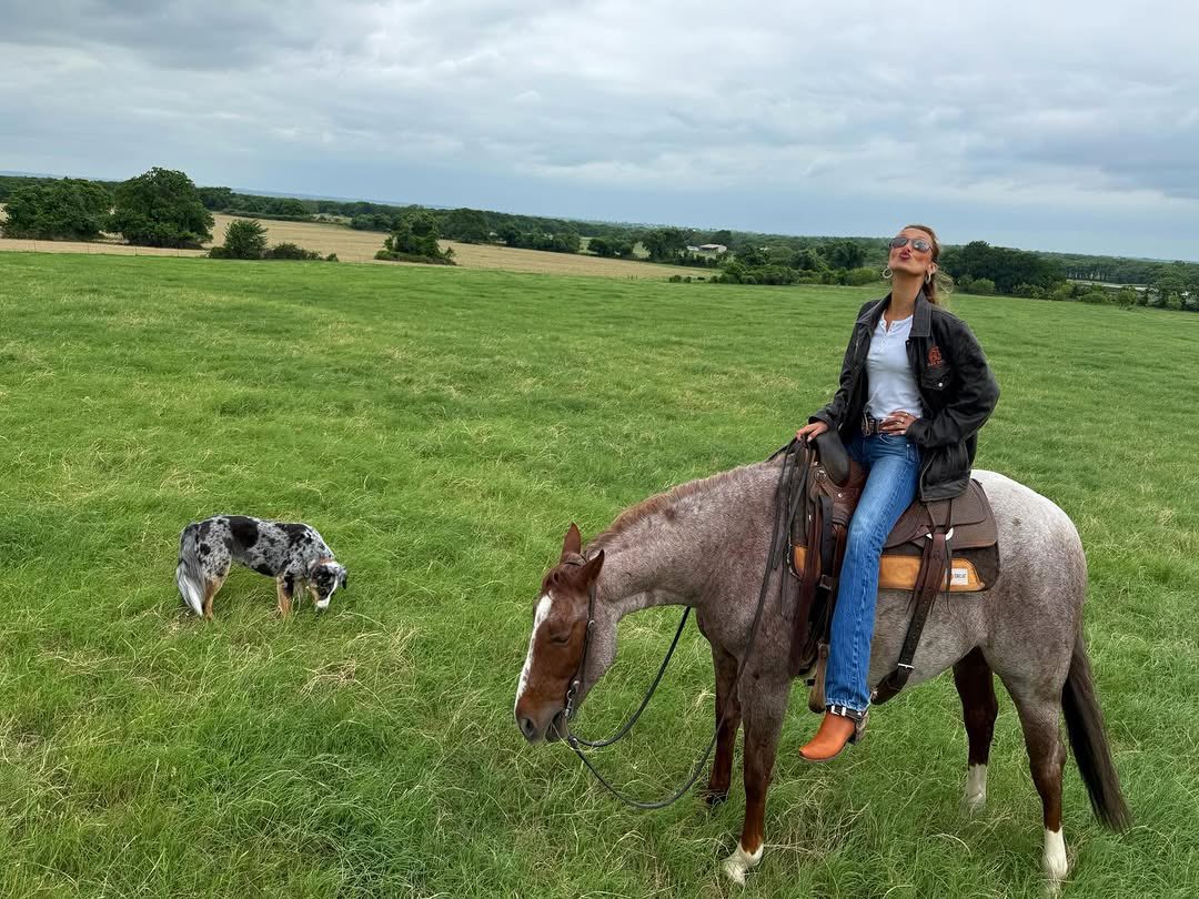 Portal Bella Hadid BR tweet media