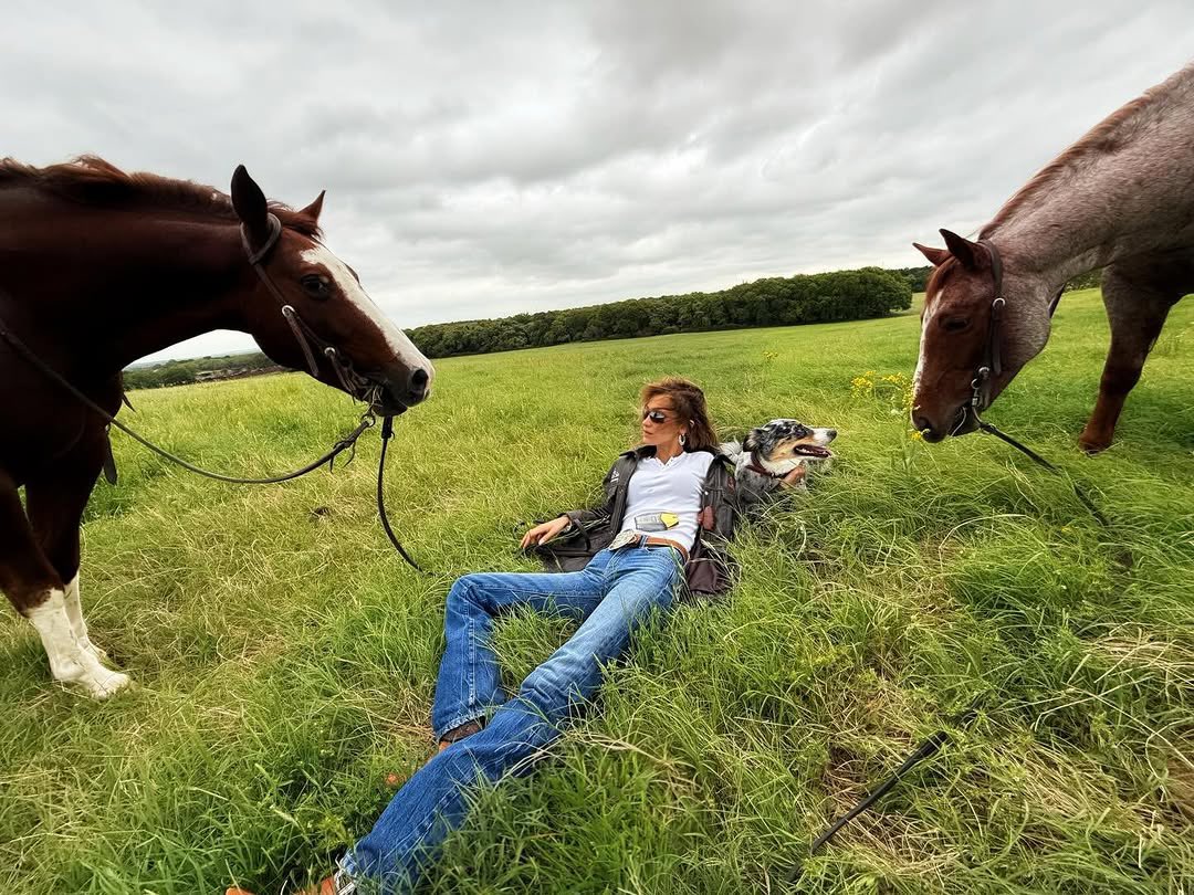 Portal Bella Hadid BR tweet media