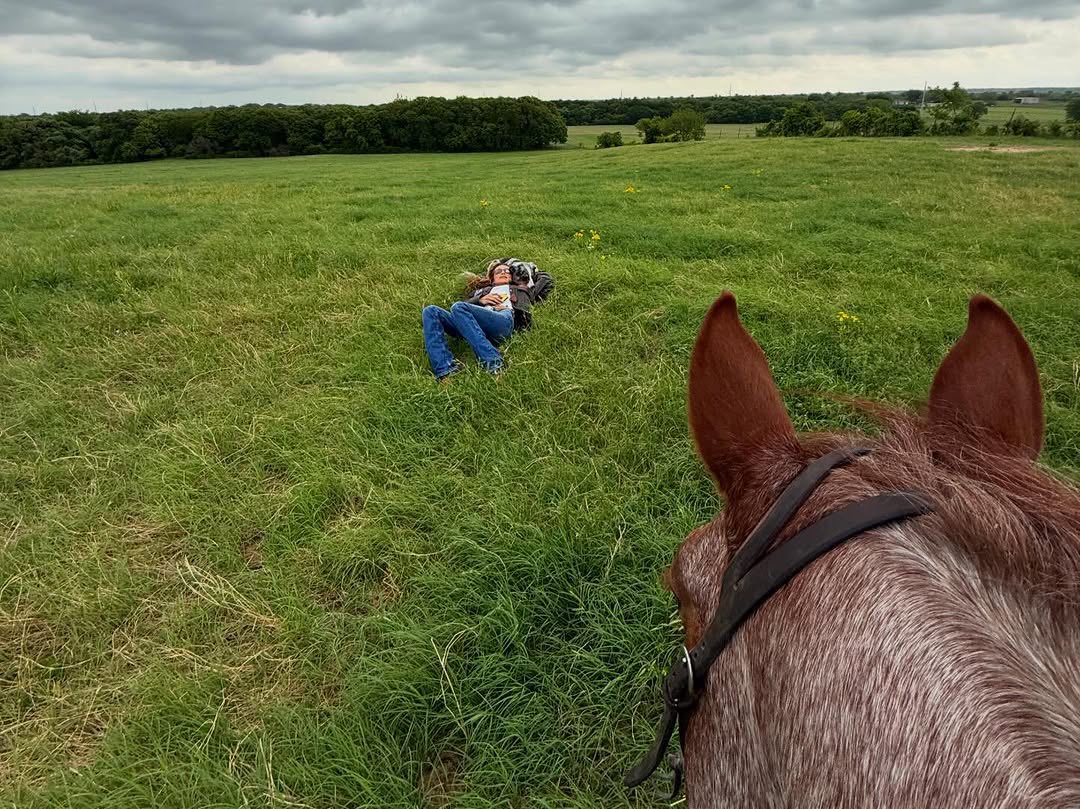 Portal Bella Hadid BR tweet media