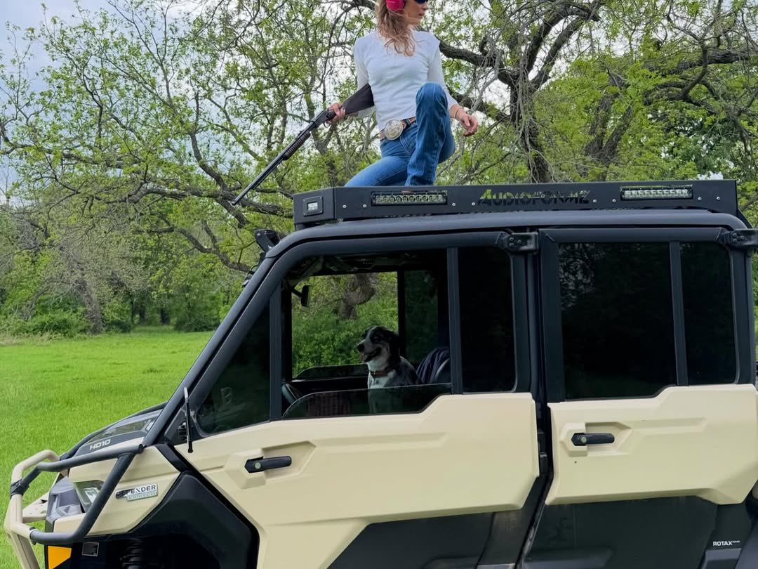 Portal Bella Hadid BR tweet media