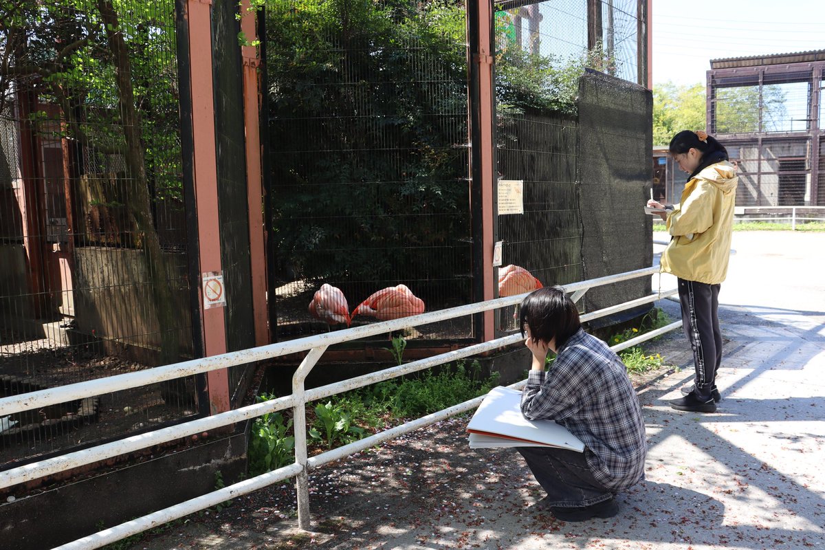 bunseiart's tweet photo. 2年生は動物園実習です！
この取材のスケッチやデッサンを元日本画を制作していきます🦒
#文星芸大 #スケッチ #宇都宮 #動物園 #宇都宮動物園 https://t.co/h4UunKgOgh