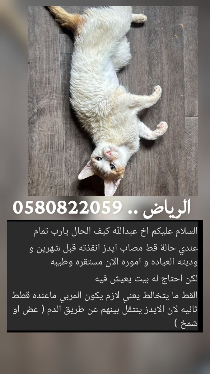 🇸🇦 Abdullah tweet media