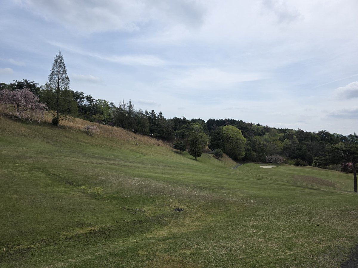 そばげ tweet media