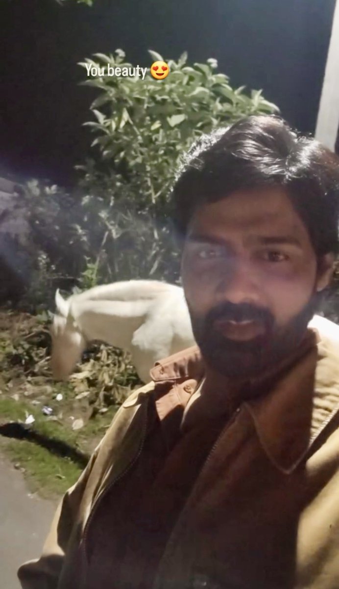 ゴーストビーフ🥩 tweet media