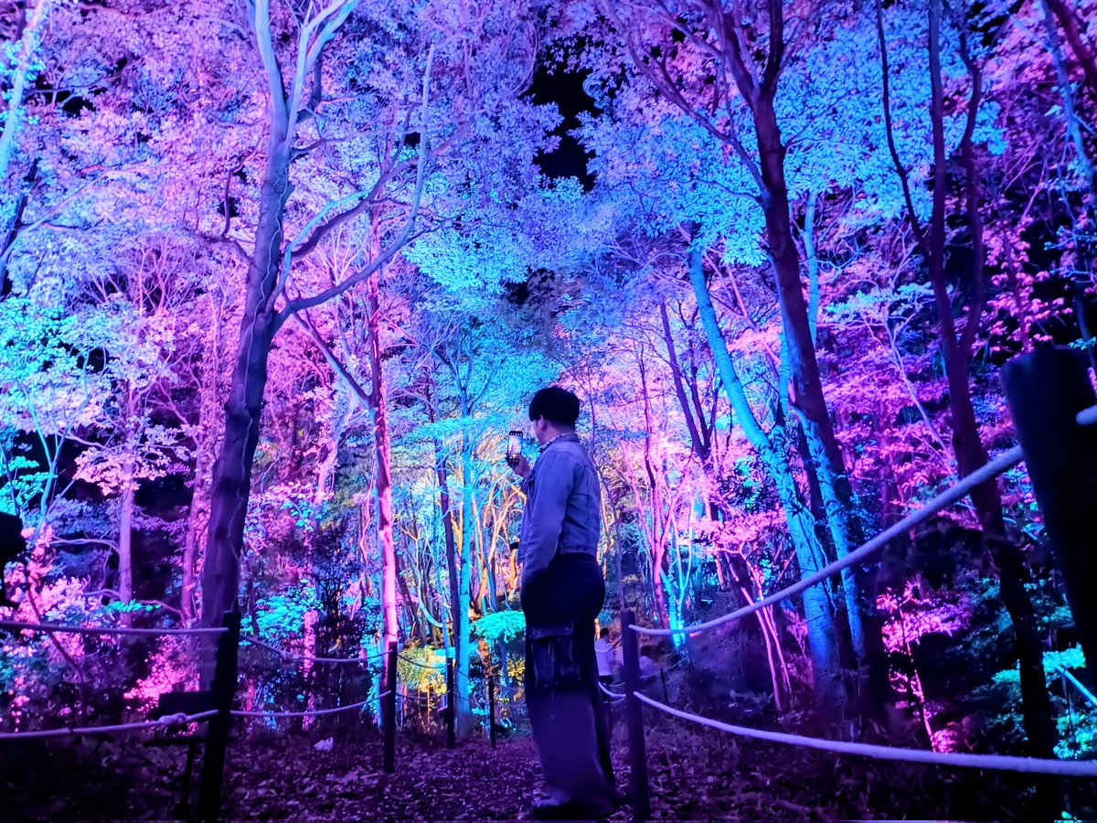 かんさん tweet media