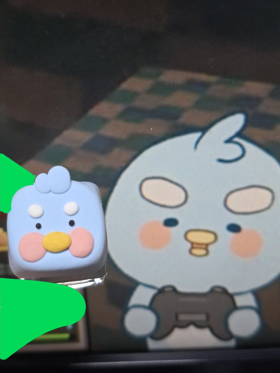 가초 tweet media