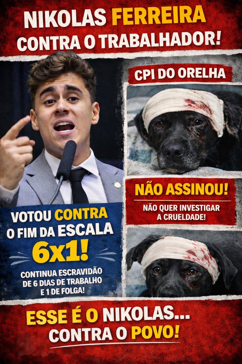 LiiLi 🐾#JustiçaPorOrelha tweet media