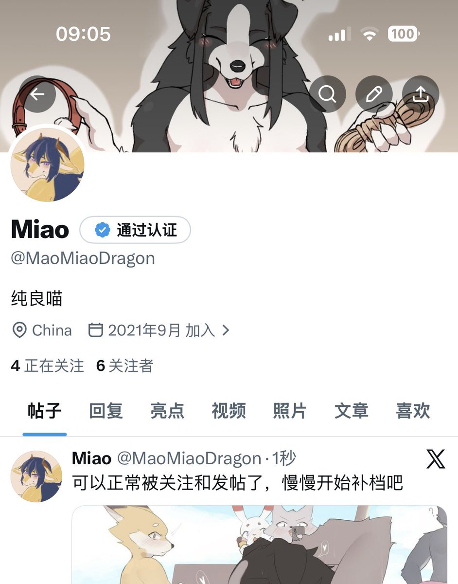 Catcatdragon tweet media