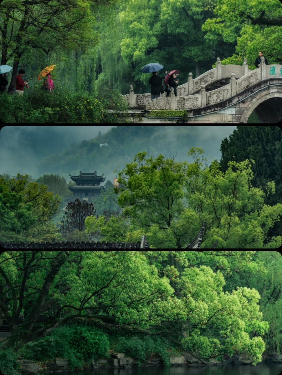 huxiaoya3's tweet image. How I wish to share this spring with you.
The rain in Jiangnan melts softly,spreading like an ink-wash painting of endless green.
#JiangnanSpring #PoeticSpring #OrientalAesthetics