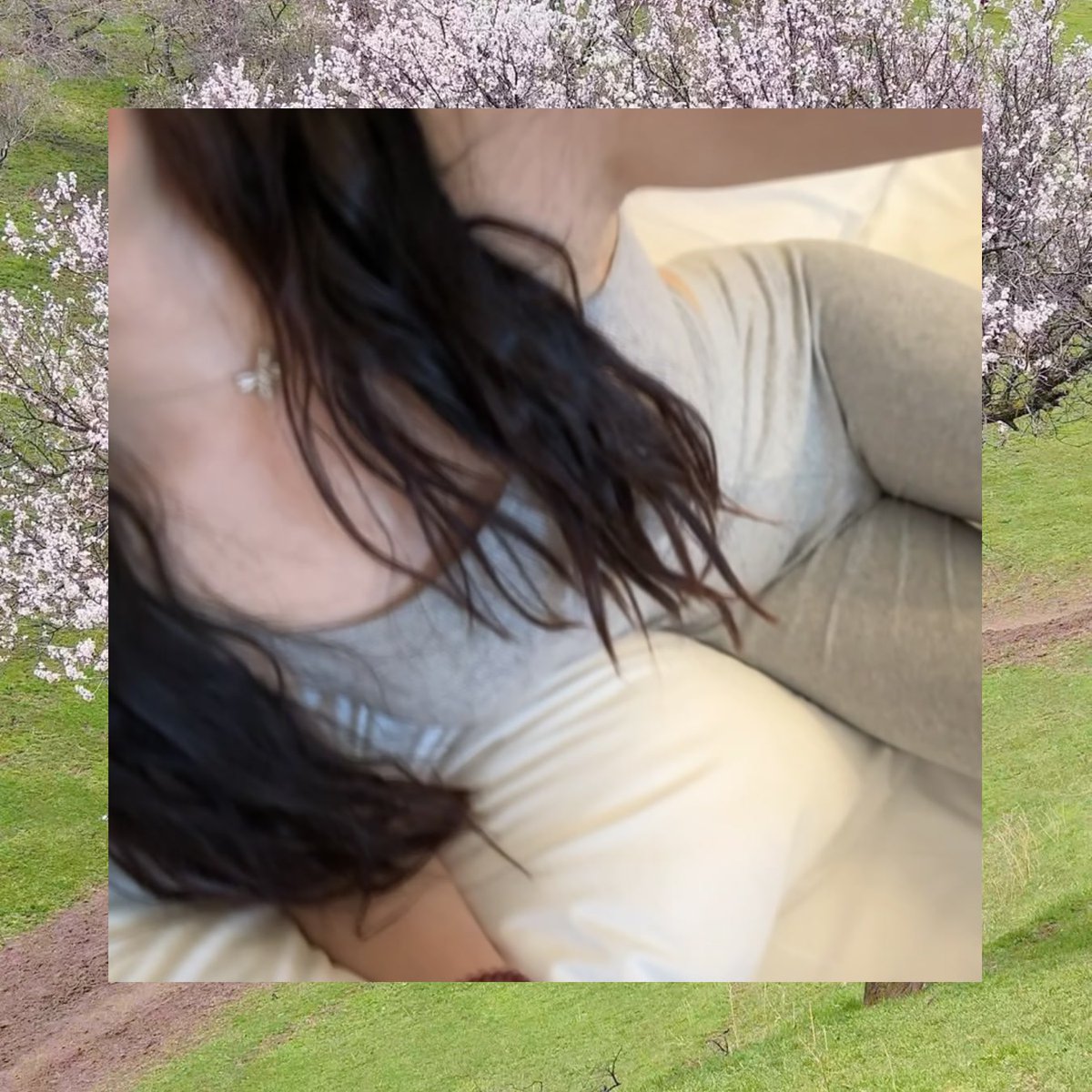 Shawn Tope tweet media