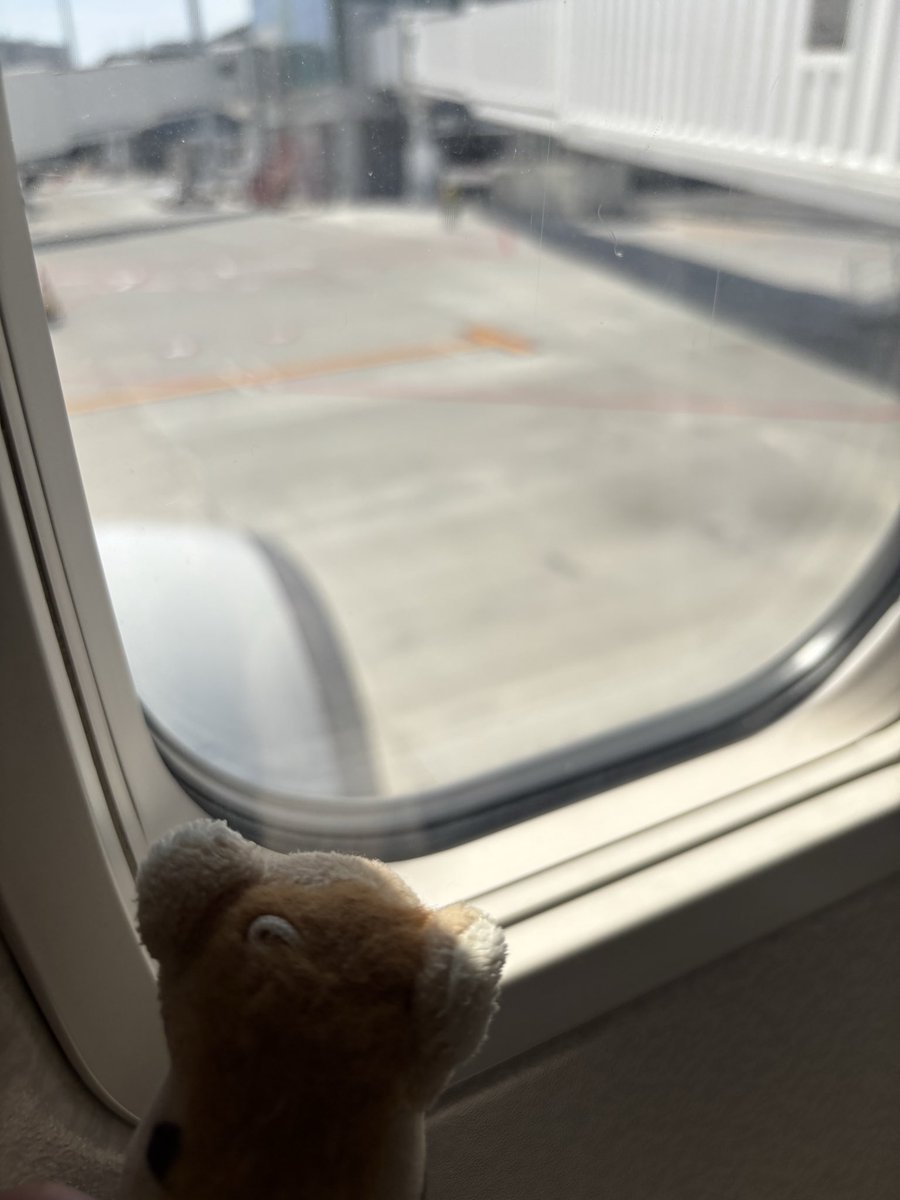 ハイエナ旅の始まり