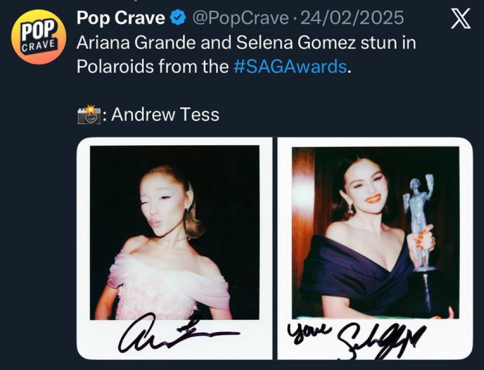 pedro 🧙‍♀️🐉 tweet media