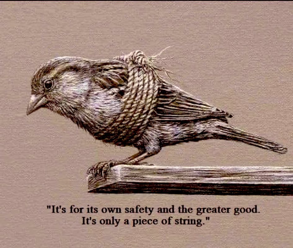 ethdrenaline tweet media