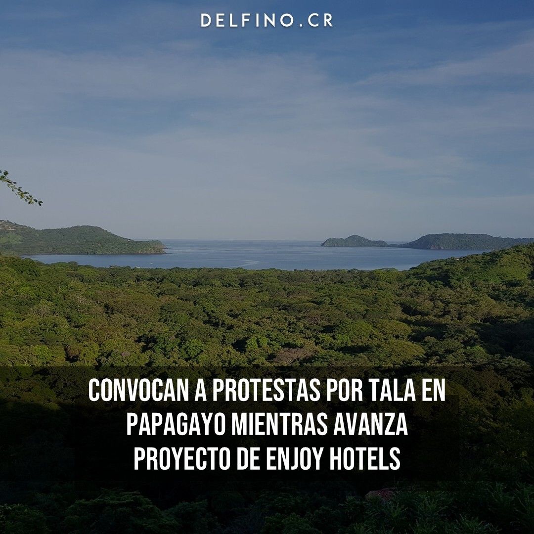 Delfino.CR tweet media