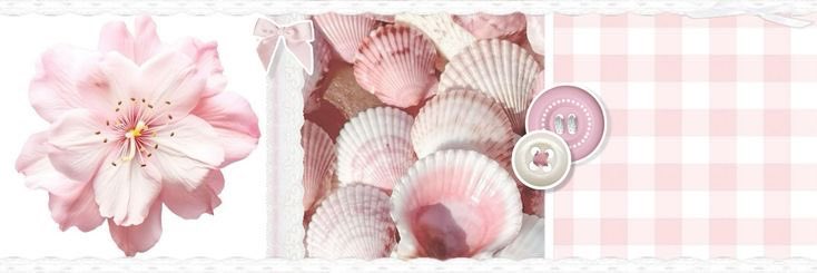 drea ᥫ᭡.ִֶָ𓂃 tweet media