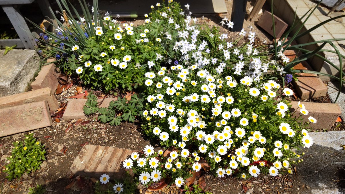 高橋修（cafe　LOVEALL） tweet media