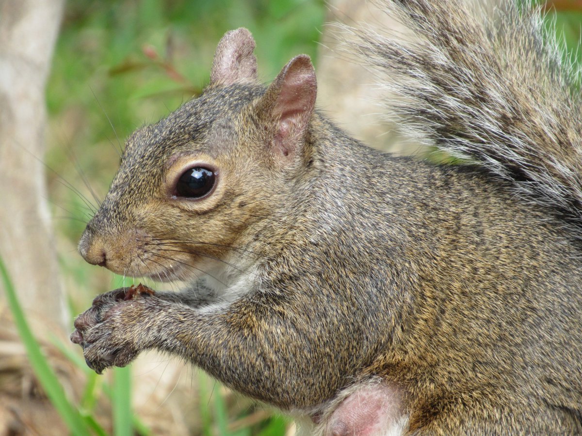 Scooter Davis tweet media