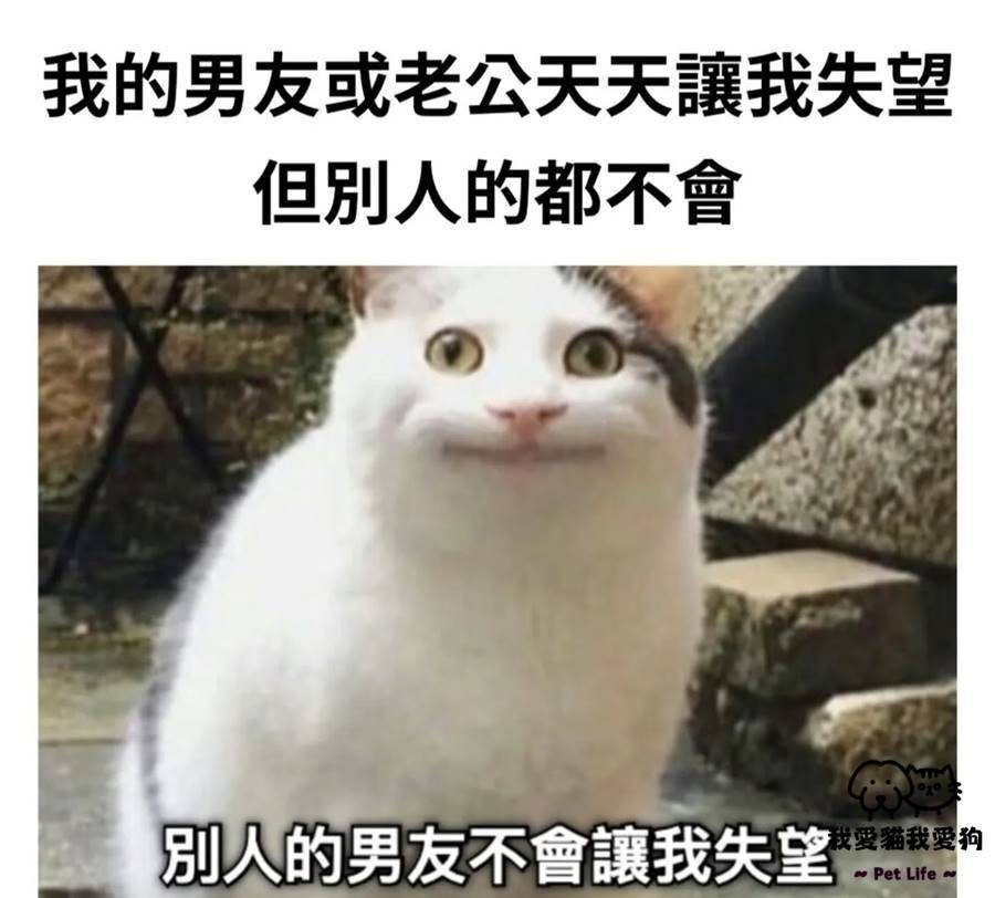 德里克迷因轉貼 tweet media