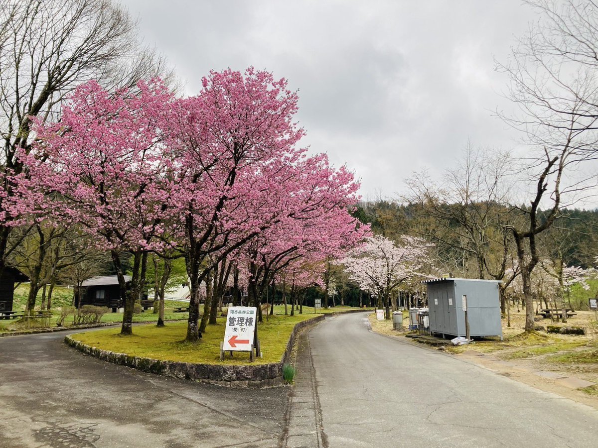 新潟「滝谷森林公園」
平日なのに二組のキャンパー居た
桜はピークから2割ほど散った感じ
ジムニーの天井は今日も快適
#ジムニーひとり旅