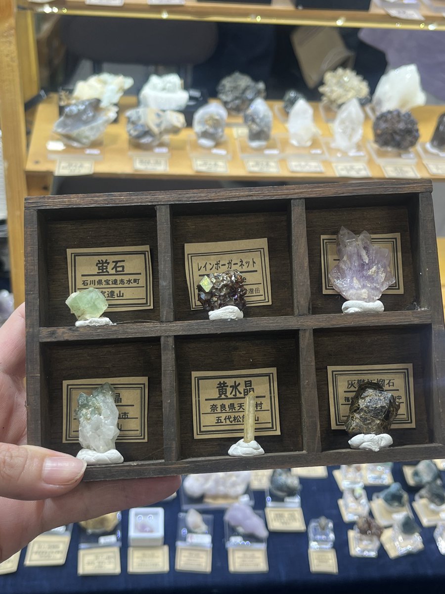 amethyst_Fl's tweet photo. 大阪ミネラルマルシェ初日始まりました✨✨良ければお立ち寄り下さいませ✨ https://t.co/iofyFZKHJJ