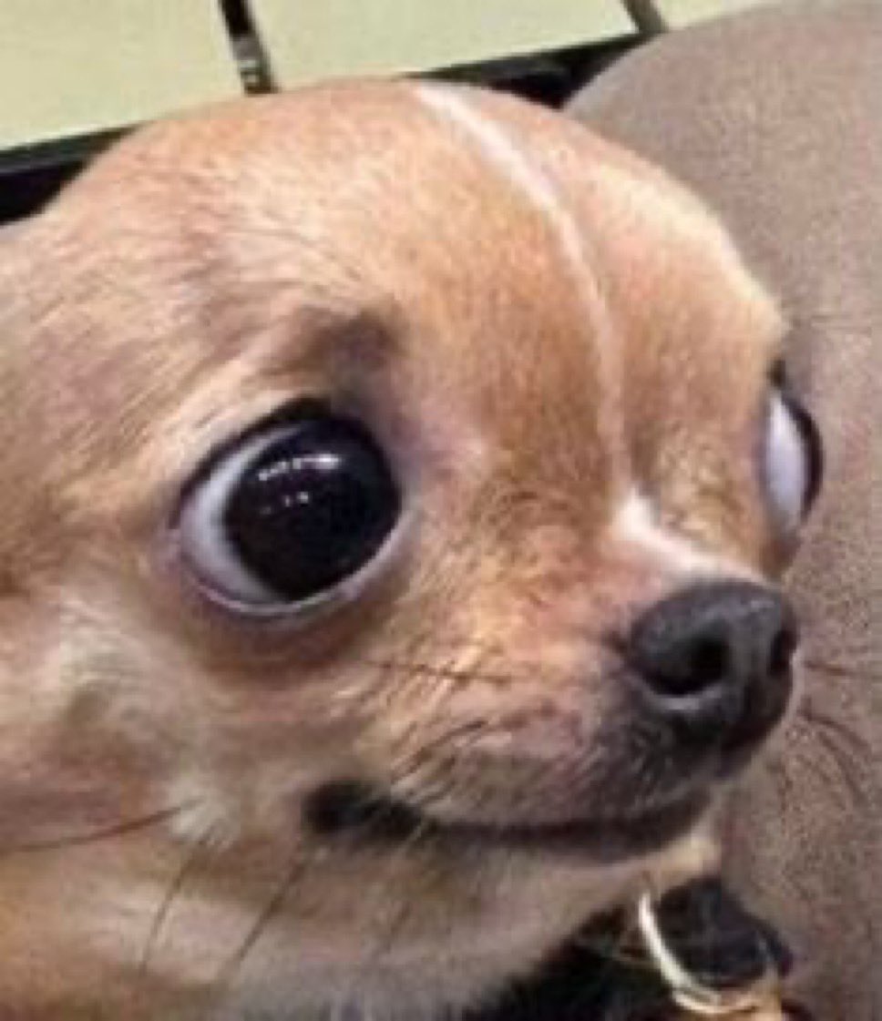 亨利🕉 tweet media