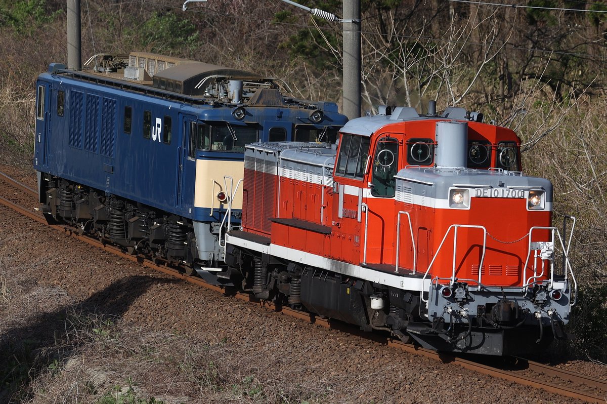 どーなつ tweet media