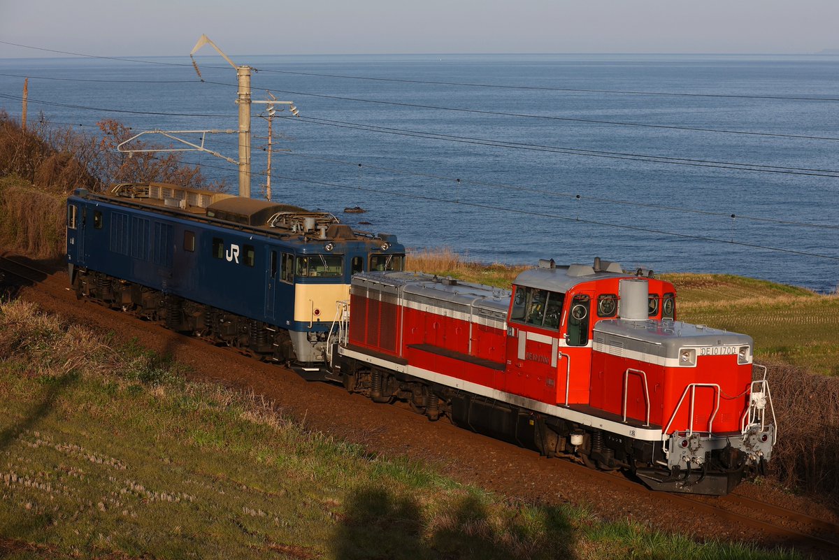 どーなつ tweet media