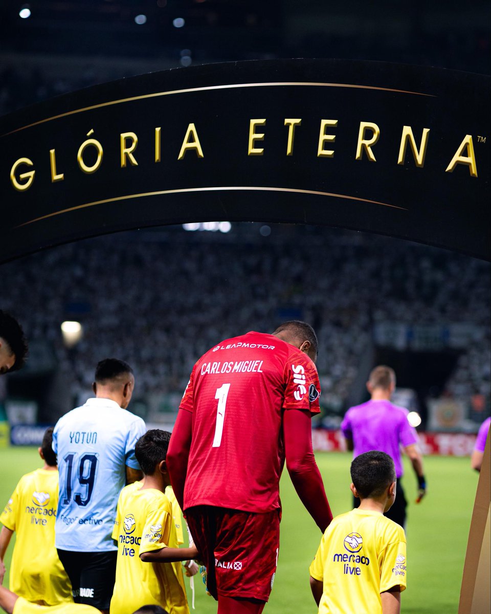 Carlos Miguel tweet media