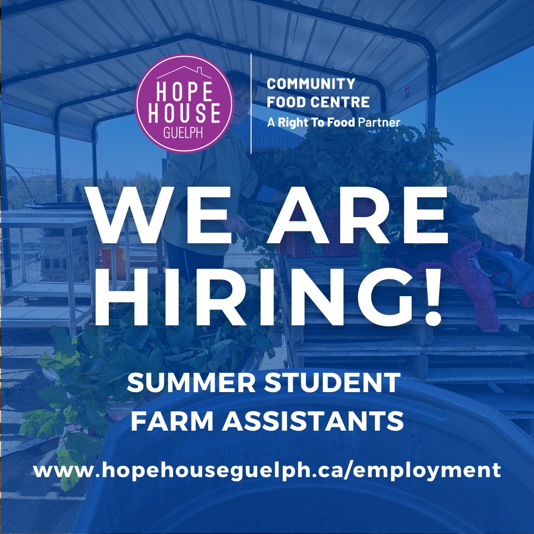HopeHouseGuelph's tweet image. We're hiring Farm Assistants for the summer! Start May 18  – July 17 Apply before April 29  Visit hopehouseguelph.ca/employment to apply.  #HopeHouseGuelph #GuelphJobs #SummerJob #NonProfitWork #CommunitySupport