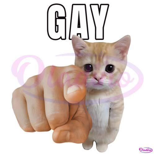 Agraoliver's tweet photo. @taxation_is_gay @BorrachinhaMMA https://t.co/npBzmUkJV0