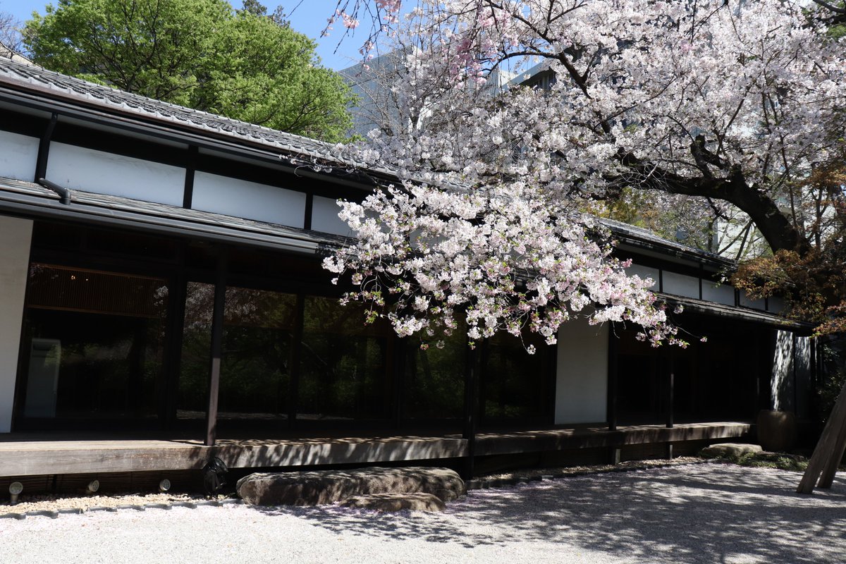 八芳園グループ tweet media