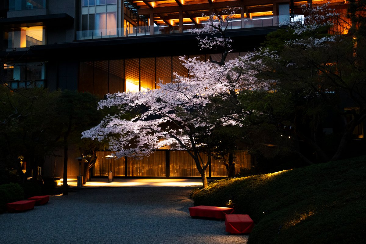 八芳園グループ tweet media