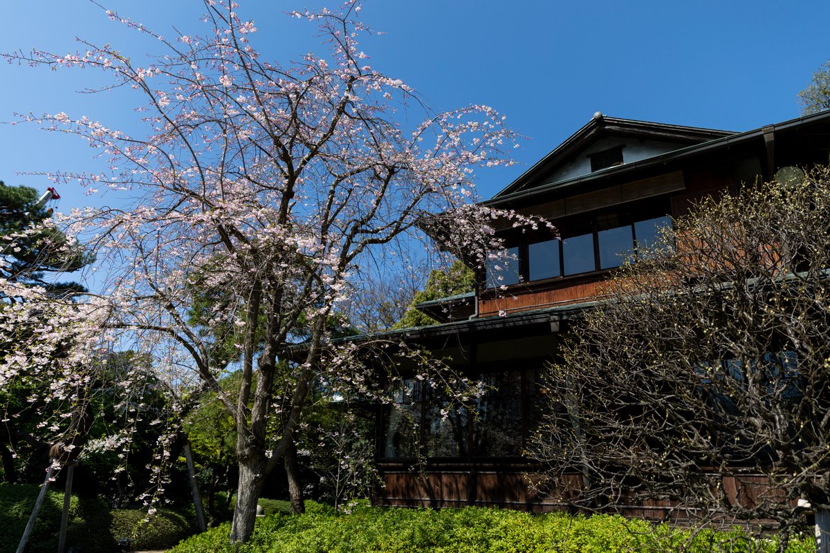 八芳園グループ tweet media