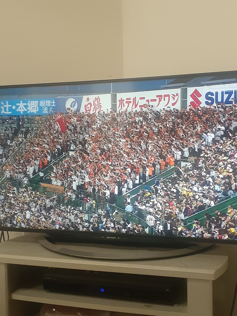 グラスワンダー tweet media
